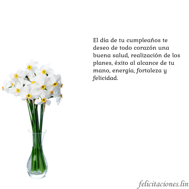 Tarjeta con narcisos