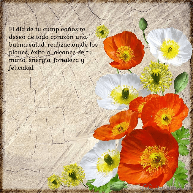 Tarjeta de cumpleaños con amapolas El día de tu cumpleaños te deseo de todo corazón u Tarjeta de cumpleaños con amapolas