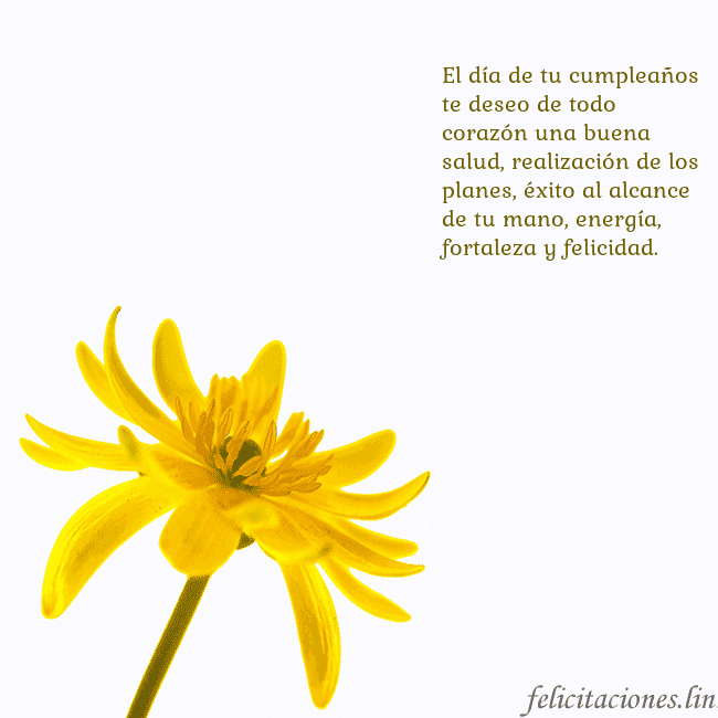 Tarjeta de cumpleaños con flor amarilla El día de tu cumpleaños te deseo de todo corazón u Tarjeta de cumpleaños con flor amarilla