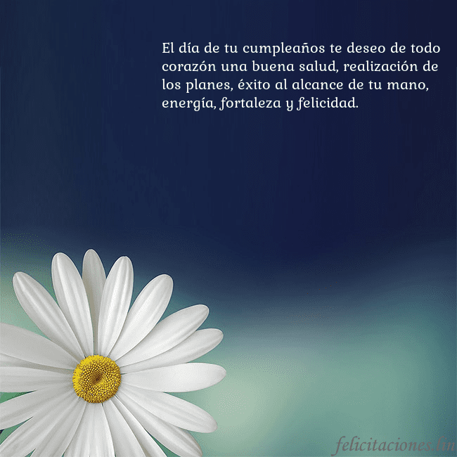 Postal con una gran margarita El día de tu cumpleaños te deseo de todo corazón u Postal con una gran margarita