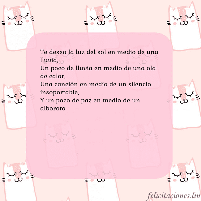 Tarjeta de cumpleaños rosa con gatos divertidos