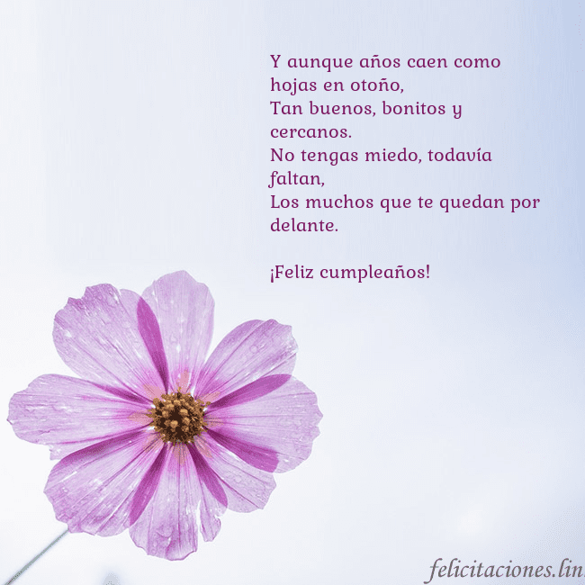 Tarjeta electrónica con flor morada