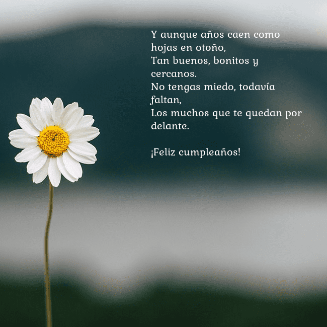 Tarjeta electrónica con margarita