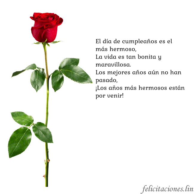 Tarjeta con una rosa roja