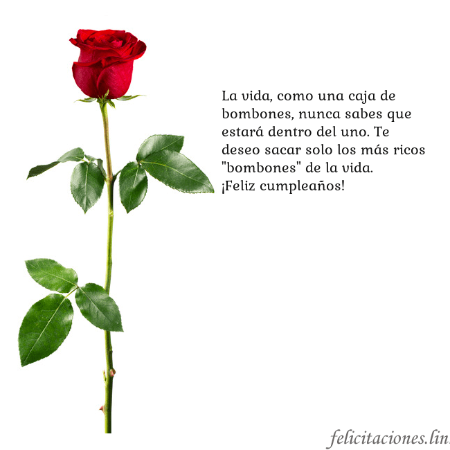Tarjeta con una rosa roja