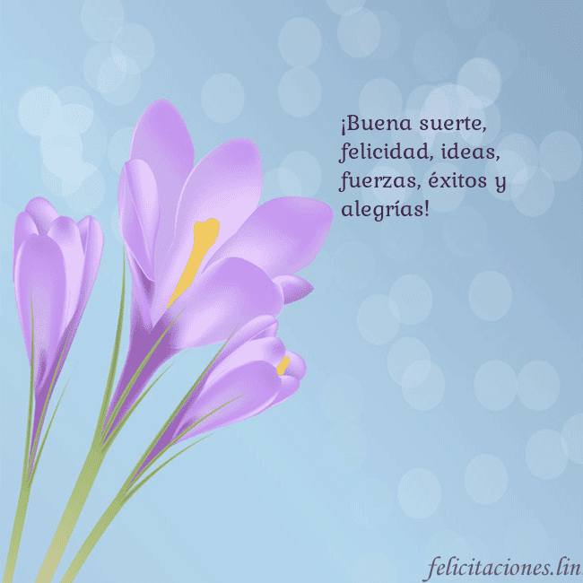 Tarjeta con crocus