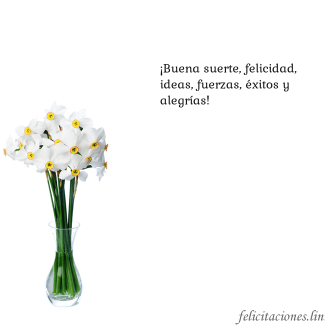 Tarjeta con narcisos