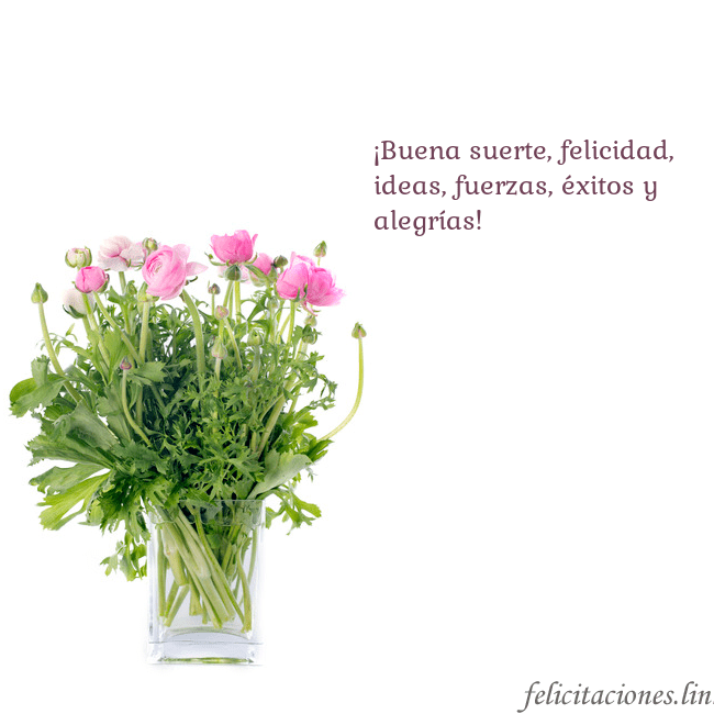 Tarjeta con flores en un jarrón