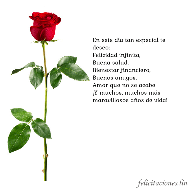 Tarjeta con una rosa roja