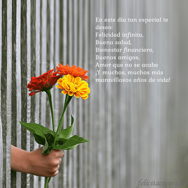 Tarjeta electrónica con ramo de flores En este día tan especial te deseo:
Felicidad infin Tarjeta electrónica con ramo de flores