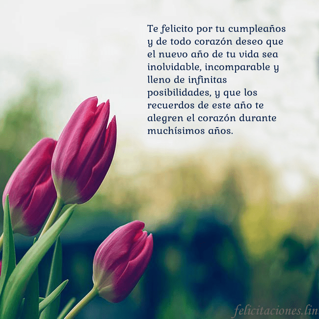 Tarjeta de cumpleaños con tres tulipanes rojos Te felicito por tu cumpleaños y de todo corazón de Tarjeta de cumpleaños con tres tulipanes rojos