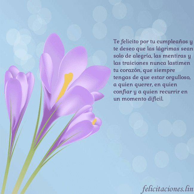 Tarjeta con crocus