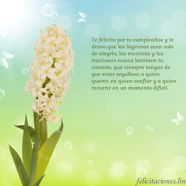 Tarjeta con jacinto