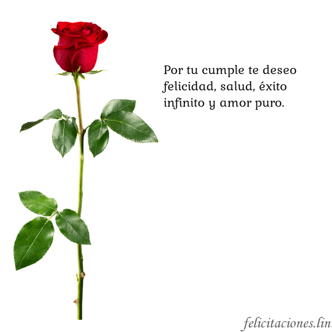 Tarjeta con una rosa roja