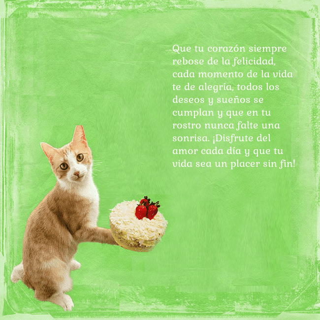 Tarjeta de cumpleaños con gato y pastel de cumpleaños