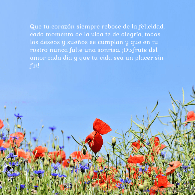 Gimtadienio atvirukas su aguonomis Que tu corazón siempre rebose de la felicidad, cad Gimtadienio atvirukas su aguonomis