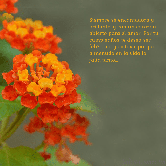 Tarjeta de cumpleaños con flores naranjas Siempre sé encantadora y brillante, y con un coraz Tarjeta de cumpleaños con flores naranjas