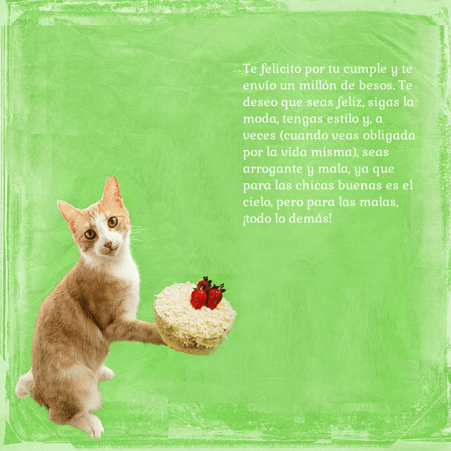 Tarjeta de cumpleaños con gato y pastel de cumpleaños