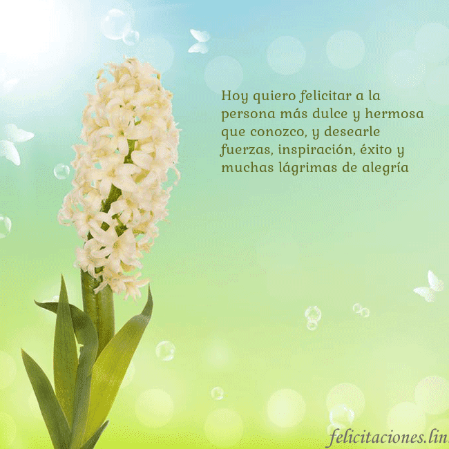 Tarjeta con jacinto Hoy quiero felicitar a la persona más dulce y herm Tarjeta con jacinto