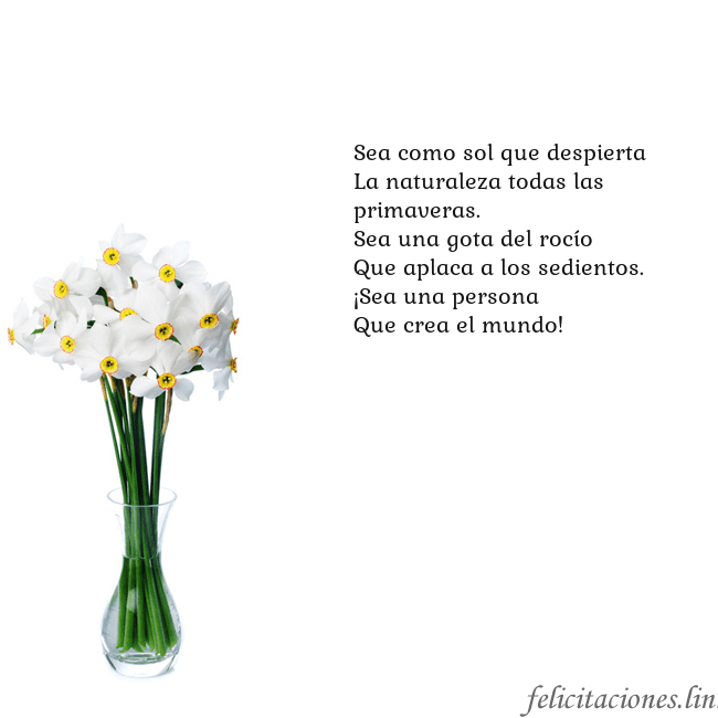 Tarjeta con narcisos