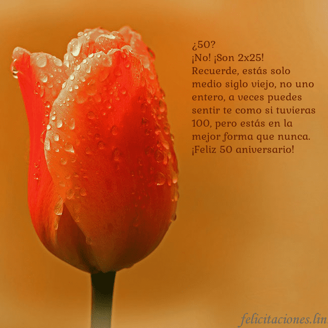 Tarjeta de cumpleaños con tulipán rojo ¿50?
¡No! ¡Son 2x25!
Recuerde, estás solo medio si Tarjeta de cumpleaños con tulipán rojo
