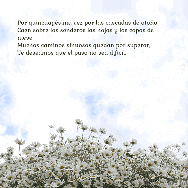 Tarjeta de cumpleaños con margaritas Por quincuagésima vez por las cascadas de otoño
Ca Tarjeta de cumpleaños con margaritas