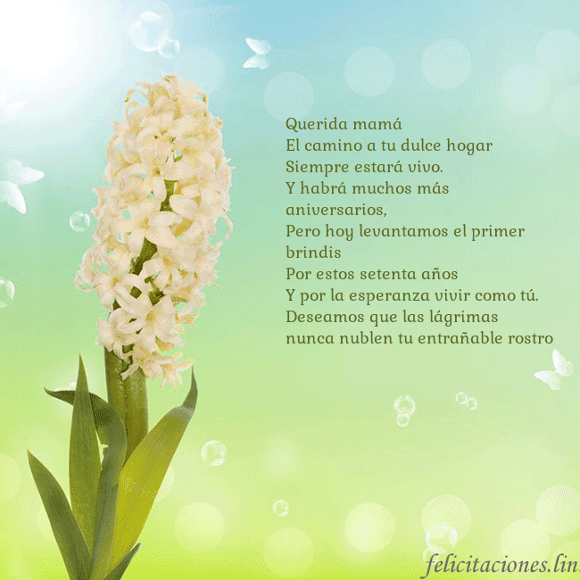 Tarjeta con jacinto
