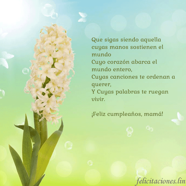 Tarjeta con jacinto Que sigas siendo aquella cuyas manos sostienen el Tarjeta con jacinto