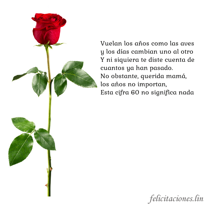 Tarjeta con una rosa roja