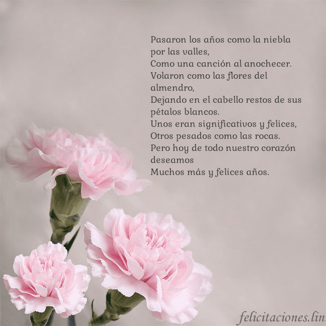 Tarjeta de cumpleaños con claveles rosas