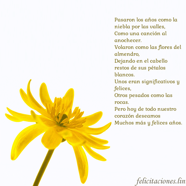 Tarjeta de cumpleaños con flor amarilla