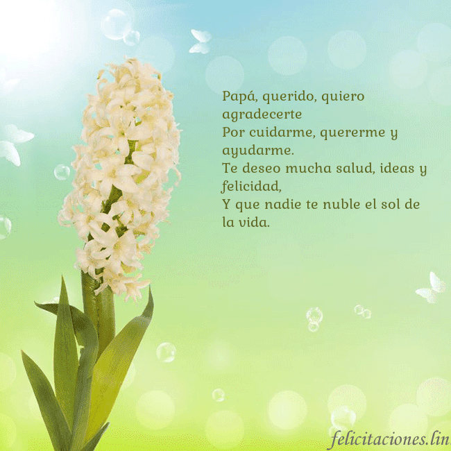 Tarjeta con jacinto Papá, querido, quiero agradecerte
Por cuidarme, qu Tarjeta con jacinto