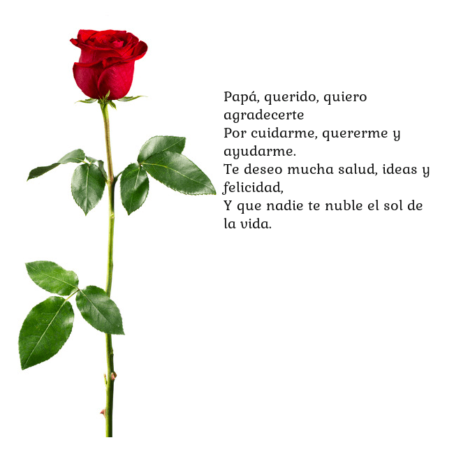 Tarjeta con una rosa roja