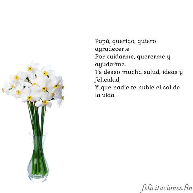 Tarjeta con narcisos Papá, querido, quiero agradecerte
Por cuidarme, qu Tarjeta con narcisos