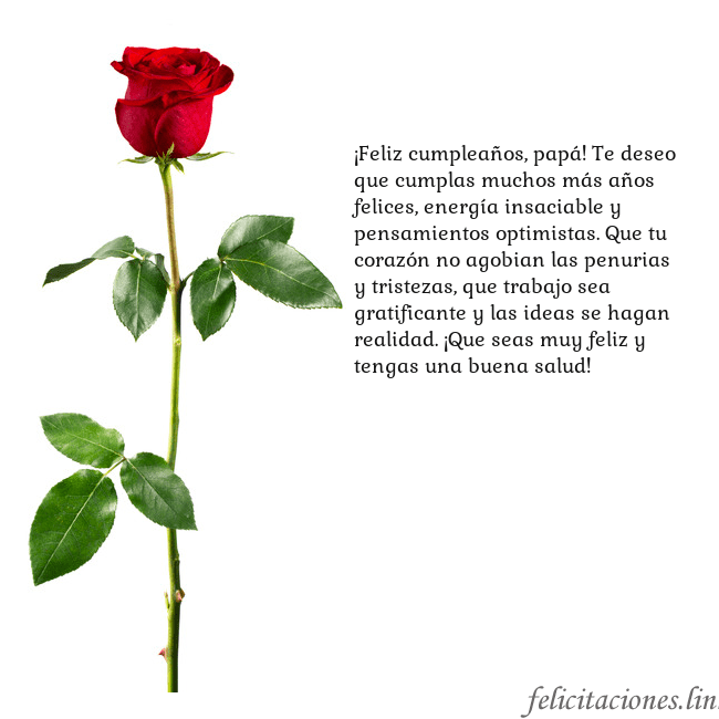 Tarjeta con una rosa roja