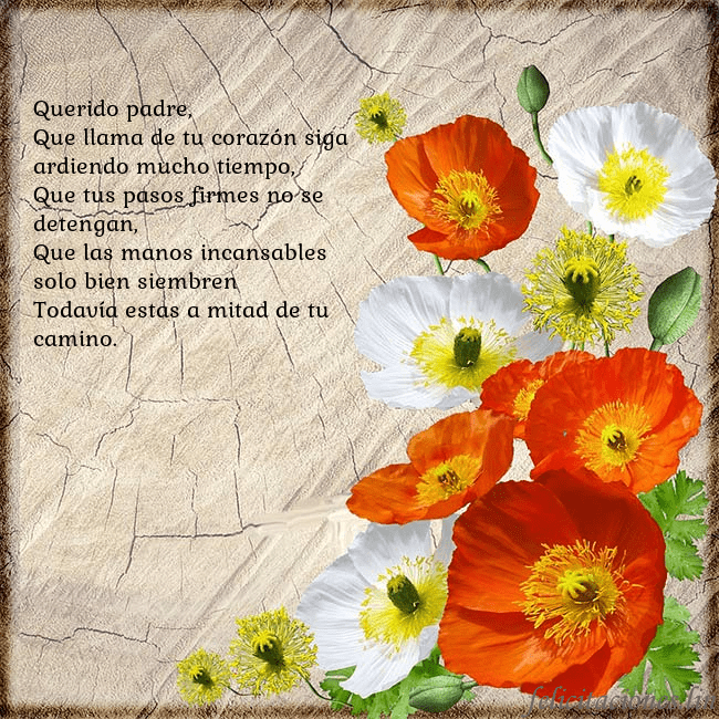 Tarjeta de cumpleaños con amapolas Querido padre,
Que llama de tu corazón siga ardie Tarjeta de cumpleaños con amapolas
