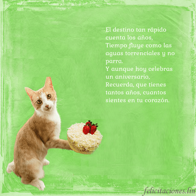 Tarjeta de cumpleaños con gato y pastel de cumpleaños