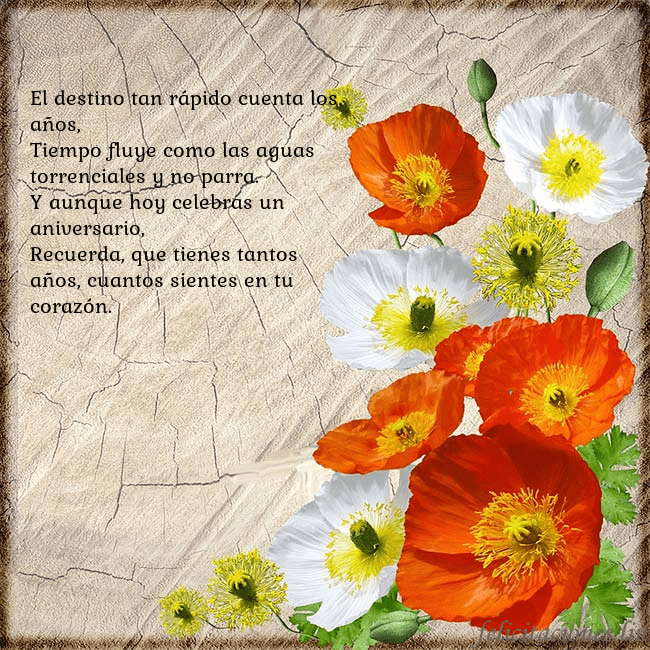 Tarjeta de cumpleaños con amapolas