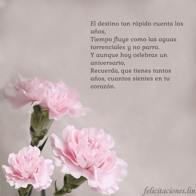 Tarjeta de cumpleaños con claveles rosas El destino tan rápido cuenta los años,
Tiempo flu Tarjeta de cumpleaños con claveles rosas