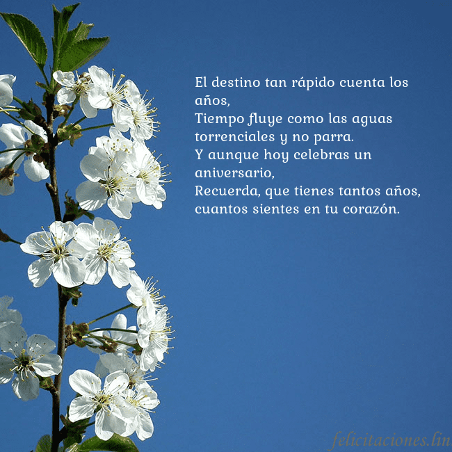 Tarjeta de cumpleaños con flores de primavera El destino tan rápido cuenta los años,
Tiempo flu Tarjeta de cumpleaños con flores de primavera