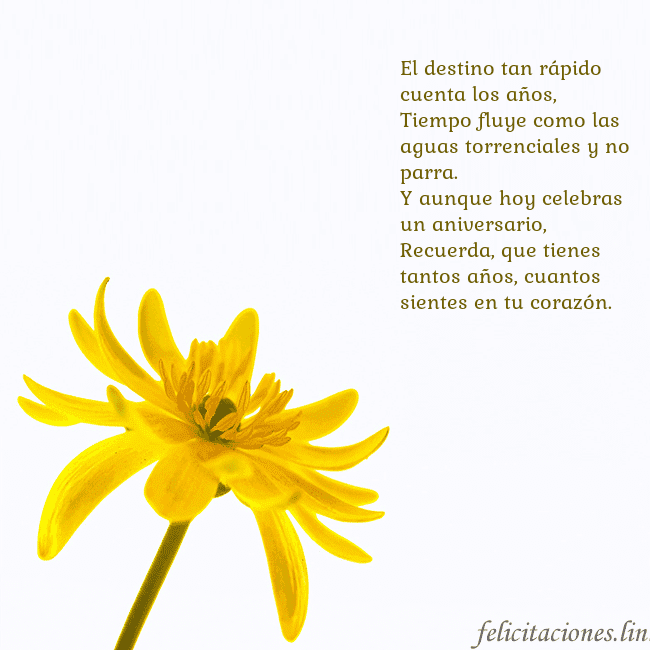 Tarjeta de cumpleaños con flor amarilla El destino tan rápido cuenta los años,
Tiempo flu Tarjeta de cumpleaños con flor amarilla