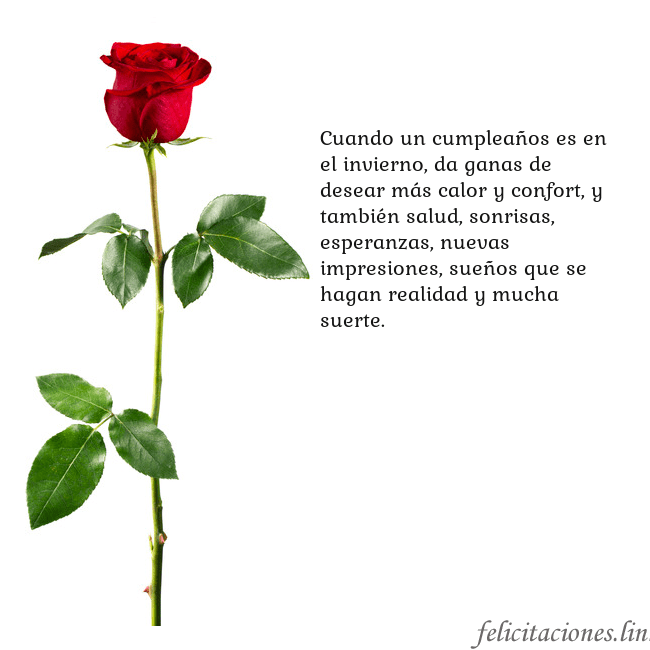 Tarjeta con una rosa roja Cuando un cumpleaños es en el invierno, da ganas d Tarjeta con una rosa roja