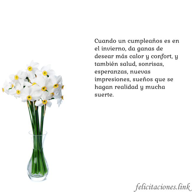 Tarjeta con narcisos Cuando un cumpleaños es en el invierno, da ganas d Tarjeta con narcisos