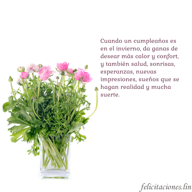 Tarjeta con flores en un jarrón Cuando un cumpleaños es en el invierno, da ganas d Tarjeta con flores en un jarrón