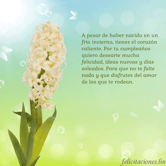 Tarjeta con jacinto