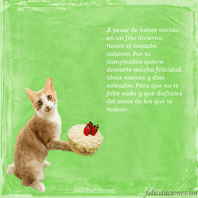 Tarjeta de cumpleaños con gato y pastel de cumpleaños A pesar de haber nacido en un frío invierno, tiene Tarjeta de cumpleaños con gato y pastel de cumpleaños