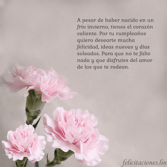 Tarjeta de cumpleaños con claveles rosas A pesar de haber nacido en un frío invierno, tiene Tarjeta de cumpleaños con claveles rosas