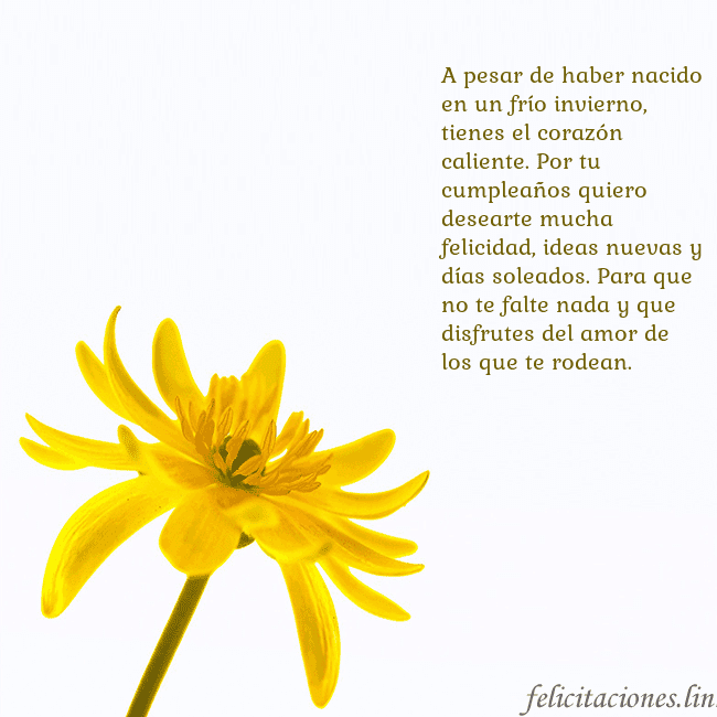 Tarjeta de cumpleaños con flor amarilla A pesar de haber nacido en un frío invierno, tiene Tarjeta de cumpleaños con flor amarilla