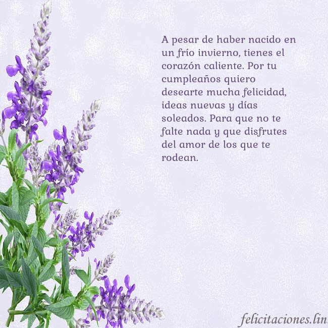 Tarjeta de cumpleaños con altramuces azules A pesar de haber nacido en un frío invierno, tiene Tarjeta de cumpleaños con altramuces azules