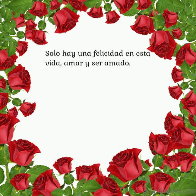 Tarjeta con con muchas rosas